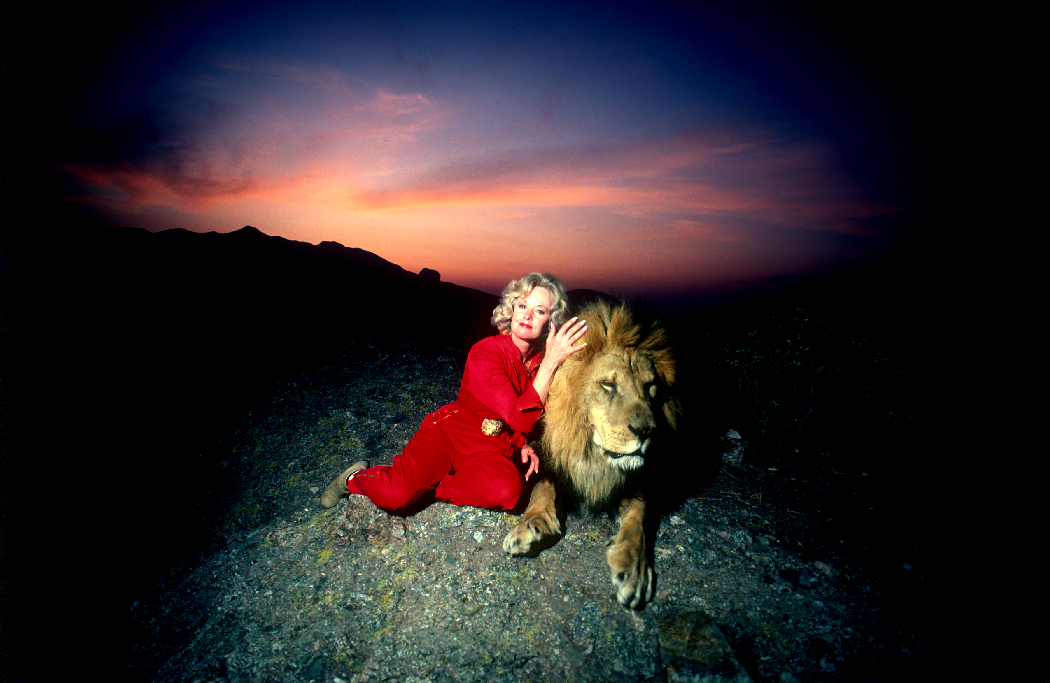 Tippi Hedren con un león macho adulto en una colina que domina la ladera de su reserva Saugus Animal en Saugus, California, el 16 de noviembre de 1983. | Fuente: Getty Images