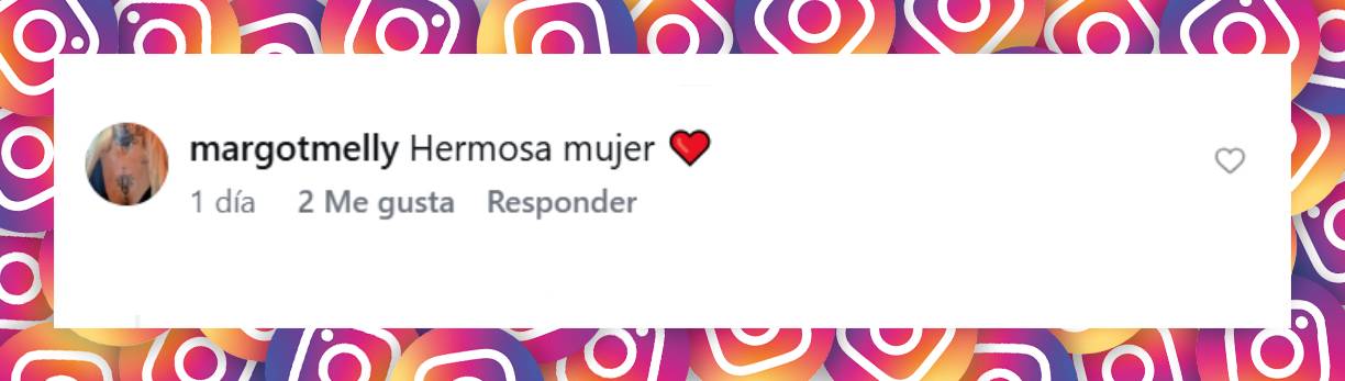 Comentario de una usuaria | Fuente: Instagram/guillevaldes1