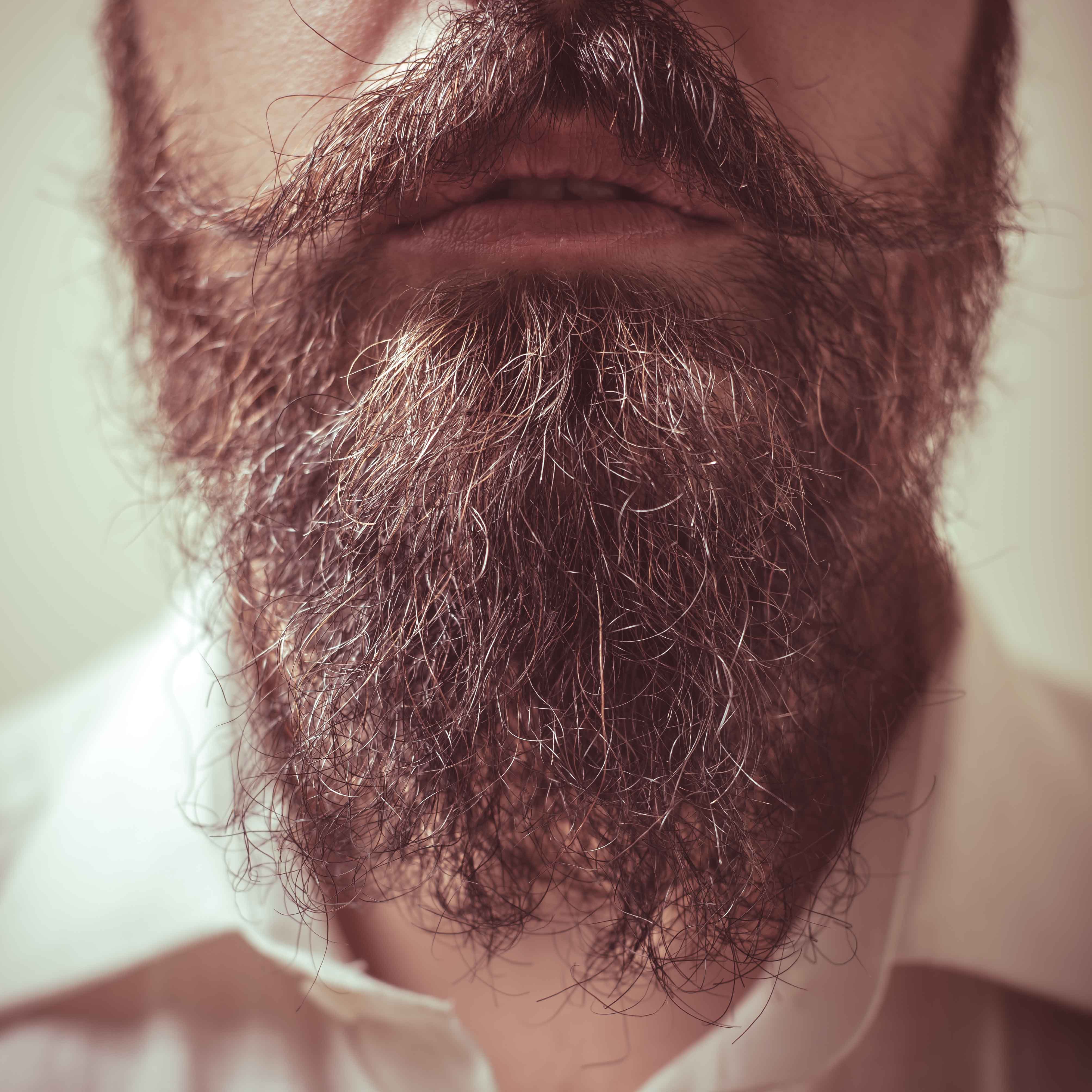Una barba de cerca. | Foto: Shutterstock