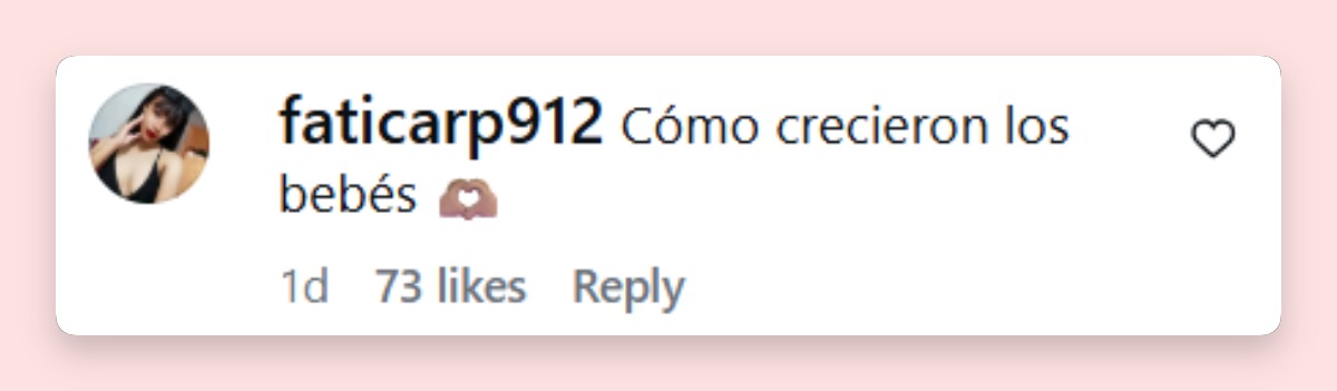 Comentario de una usuaria | Fuente: Instagram/hernandrago