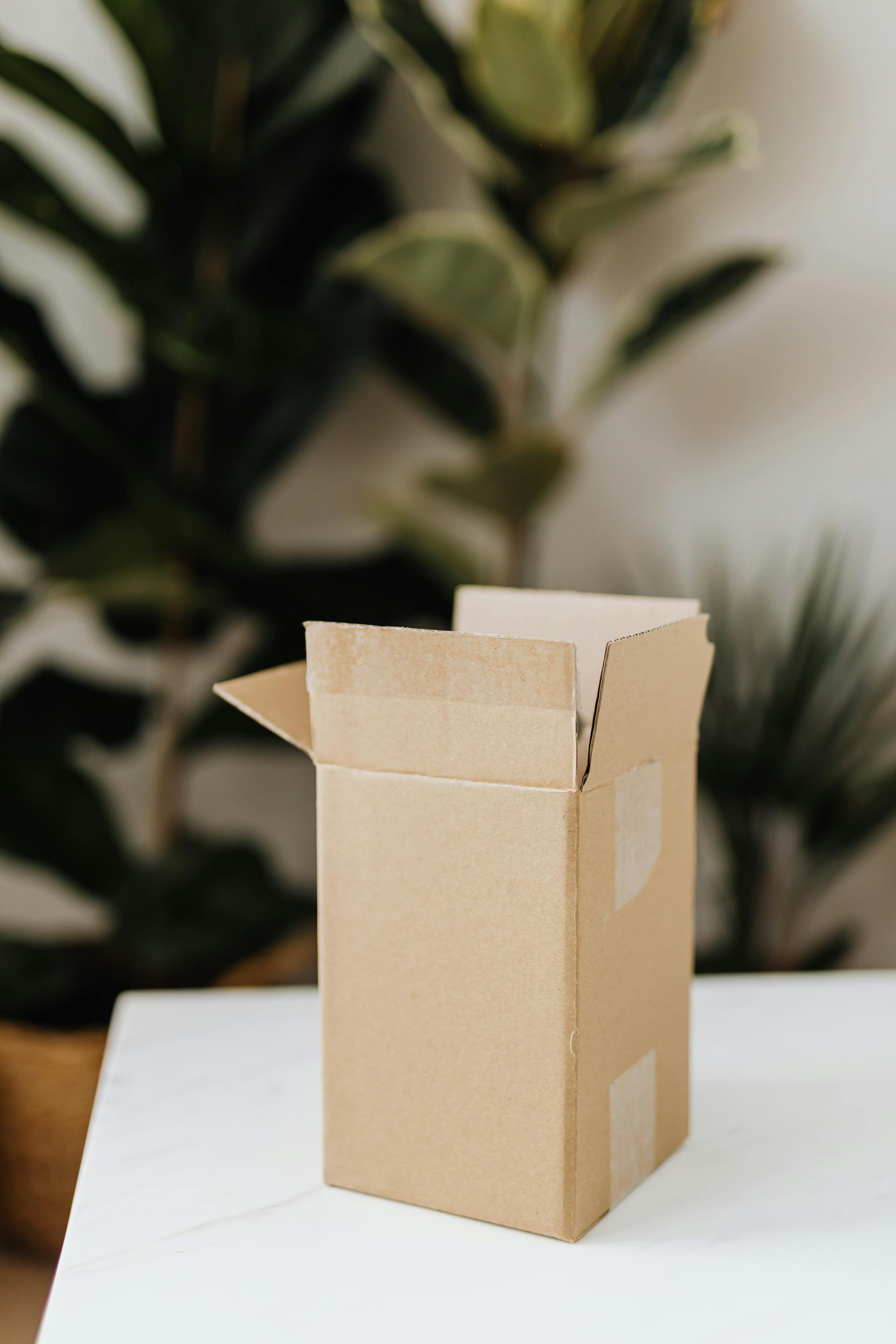 Una caja de cartón sobre una mesa | Fuente: Pexels