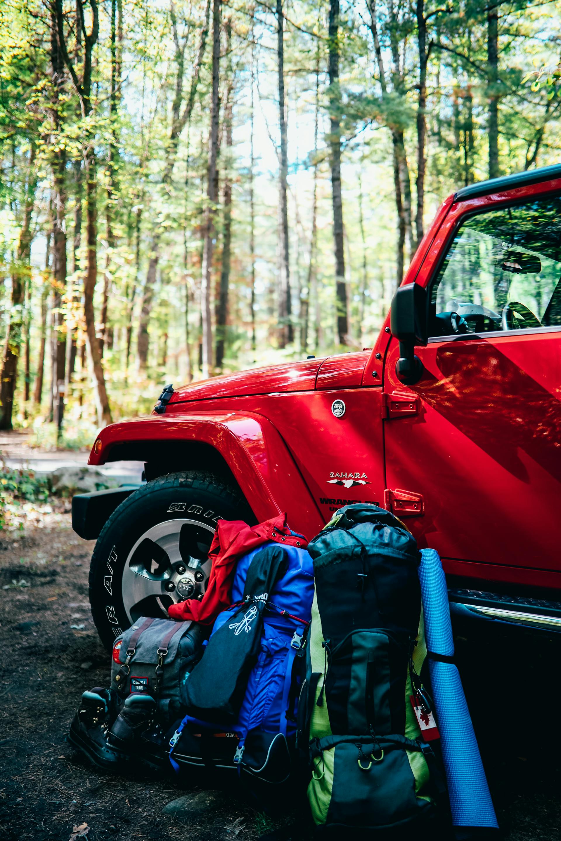 Mochilas y material de acampada apoyados en un automóvil | Fuente: Pexels