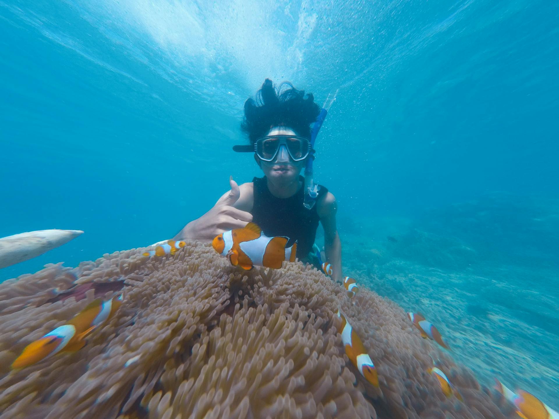 Una mujer practicando snorkel | Fuente: Pexels