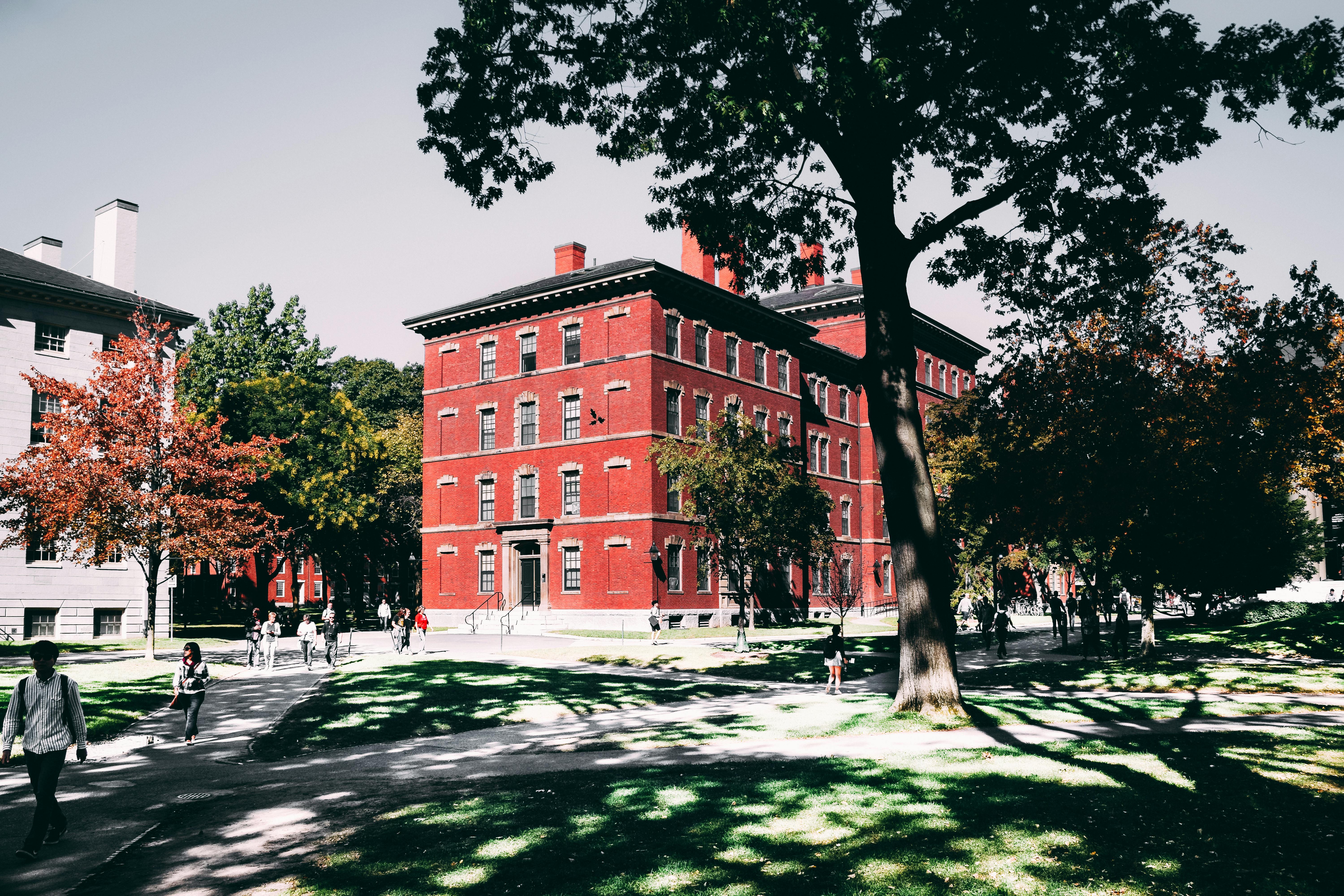 Campus de una escuela. Imagen con fines ilustrativos | Foto: Pexels