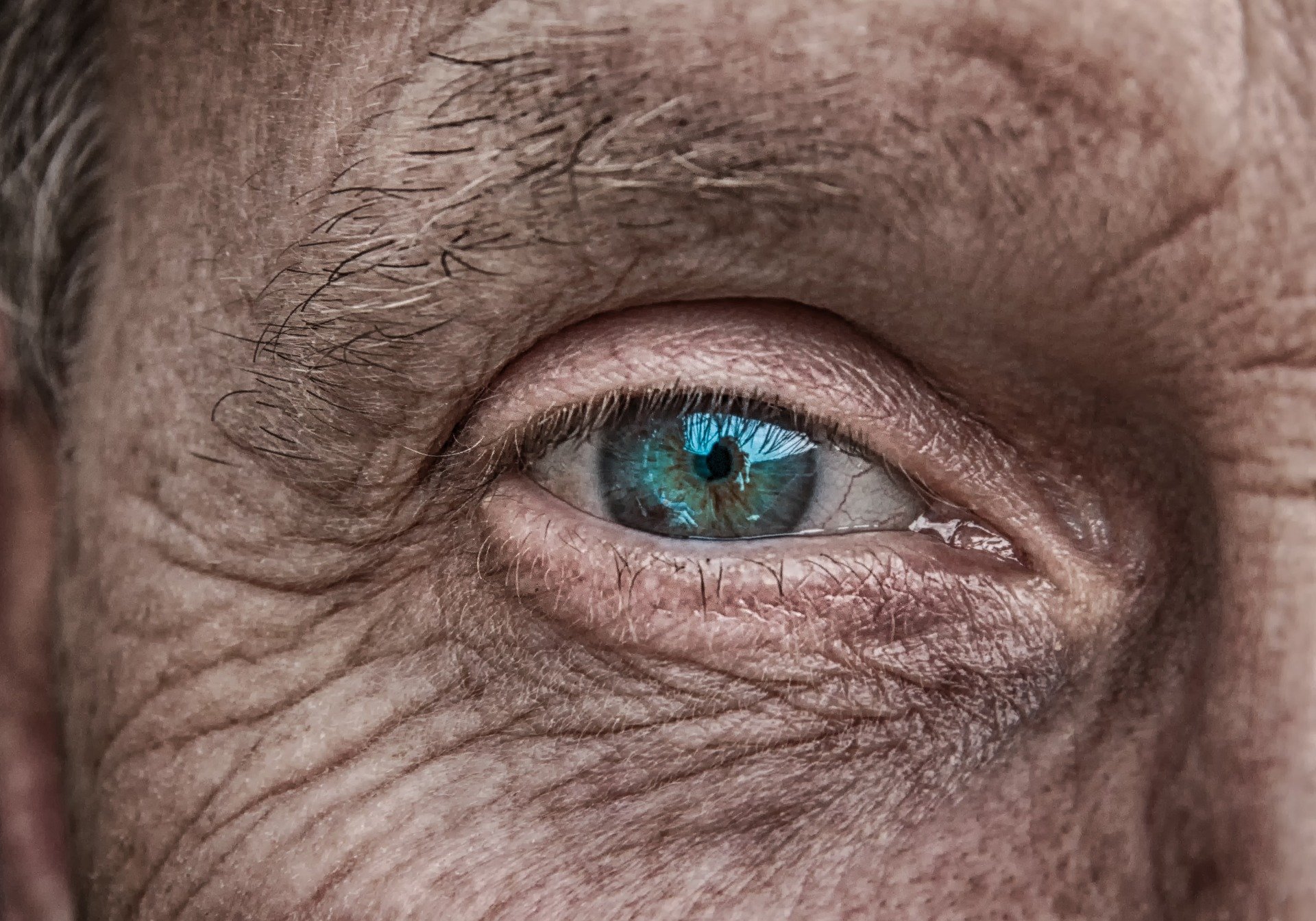 Persona mayor con cejas desvanecidas. | Foto: Pixabay