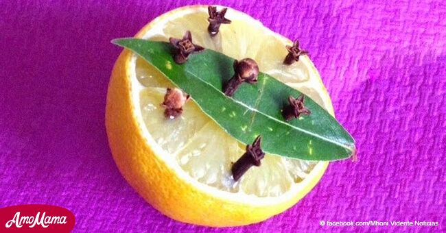 Amuleto hecho de limón y laurel puede darte prosperidad y eliminar las energías negativas