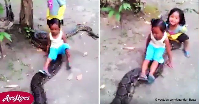Video de niñas riendo mientras montan una peligrosísima pitón se viraliza y causa debate