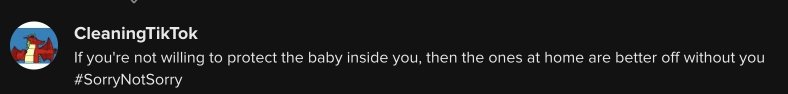 "Si no estás dispuesta a proteger al bebé dentro tuyo, entonces los que están en casa están mejor sin ti #sorrynotsorry" | Comentario de un usuario de Tiktok. | Foto: tiktok.com/shelbielenora