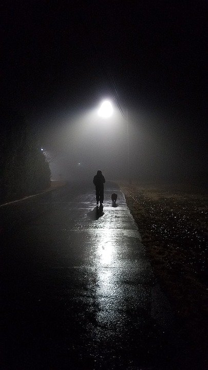 Hombre caminando por la noche sobre el pavimento húmedo junto a un perro. | Imagen: Pixabay