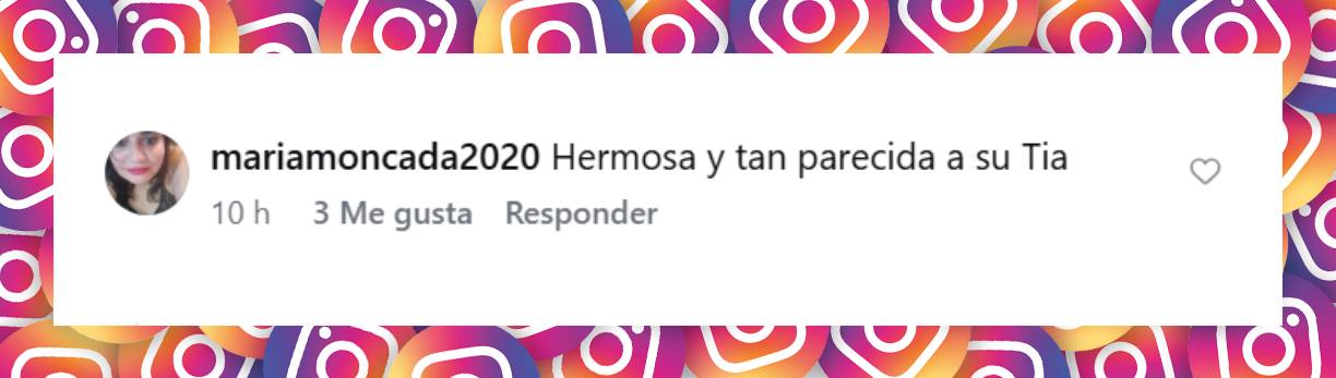 Comentario de una usuaria | Fuente: Instagram/univisionfamosos