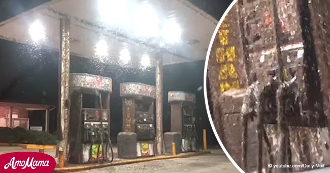 Terrorífico video captura la invasión de insectos a una gasolinera