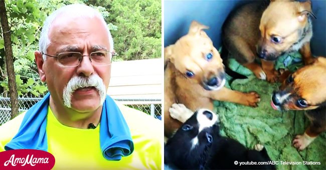 Pastor encuentra 6 cachorritos abandonados en horribles condiciones para morir