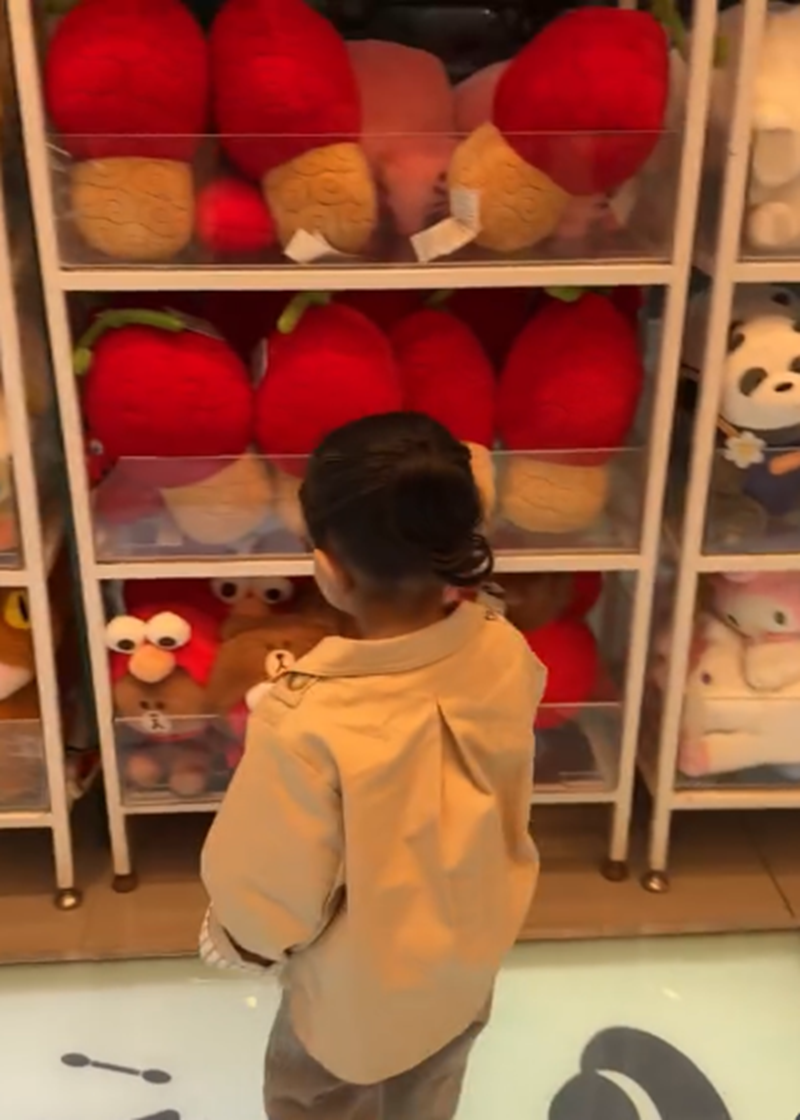 Tessa, hija de José Eduardo Derbez y Paola Dalay, observando anaqueles en una tienda con varios muñecos de peluche | Fuente: Instagram/paodalay_2203