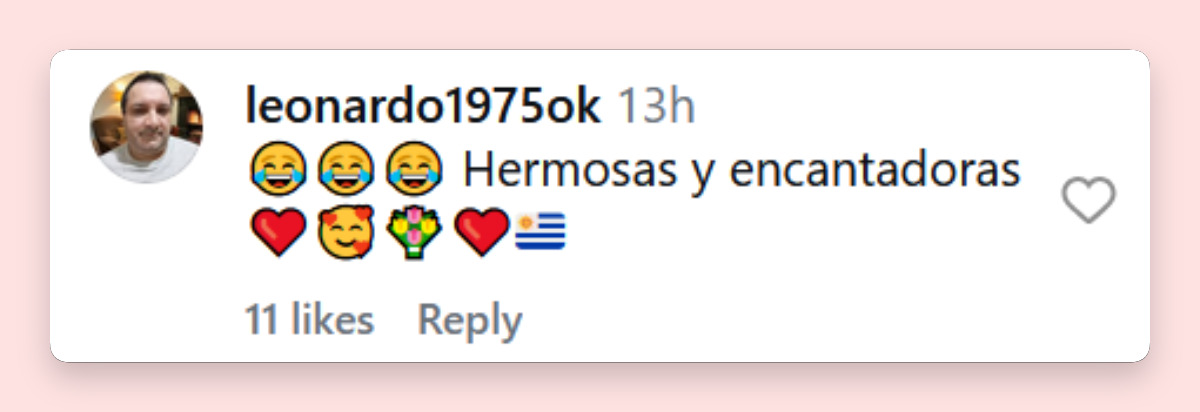 Comentario de un usuario sobre el video de Adamari López con su hija Alaïa | Fuente: Instagram/adamarilopez