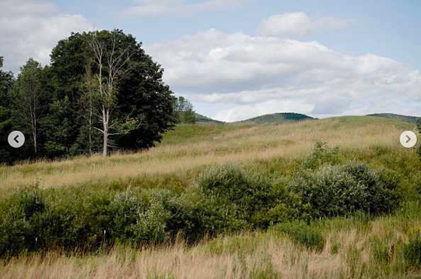 Una foto de Hayfield Catskills, publicada el 9 de febrero de 2023 | Fuente: Instagram/hayfieldcatskills