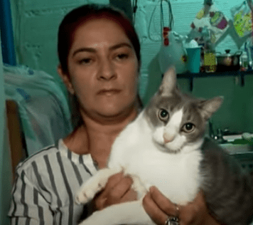 La señora Nancy con uno de los gatos que salvó.  | Foto: Youtube/ Noticias Caracol