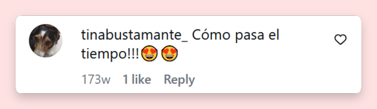 Comentario de una usuaria sobre cómo ha crecido Malek, el hijo de Karina Mazzocco | Fuente: Instagram/ciudad_magazine