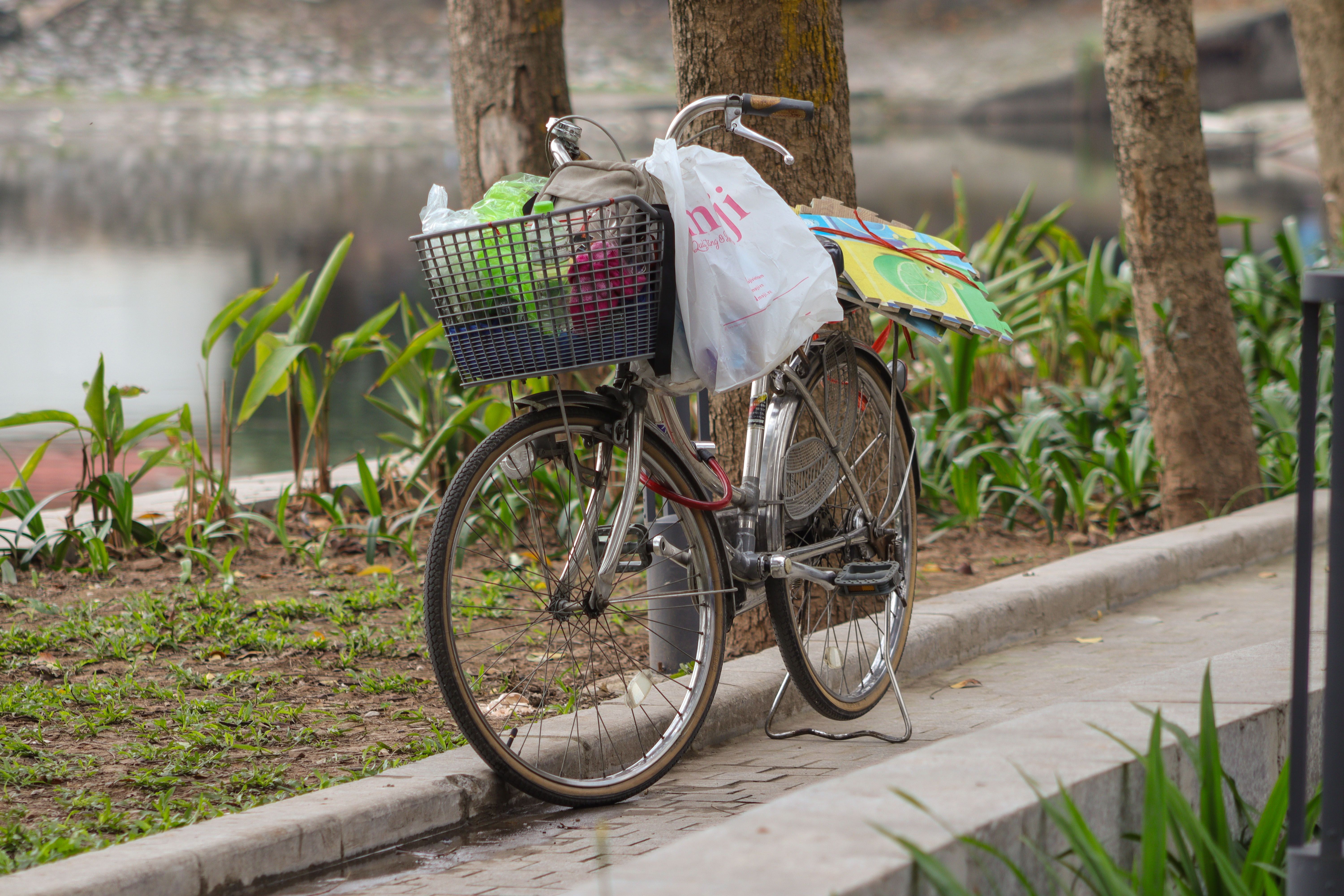 Una bicicleta con cesta | Fuente: Pexels
