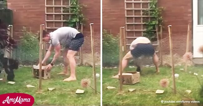Video de un hombre intentando atrapar a conejo parece escena sacada de película de comedia