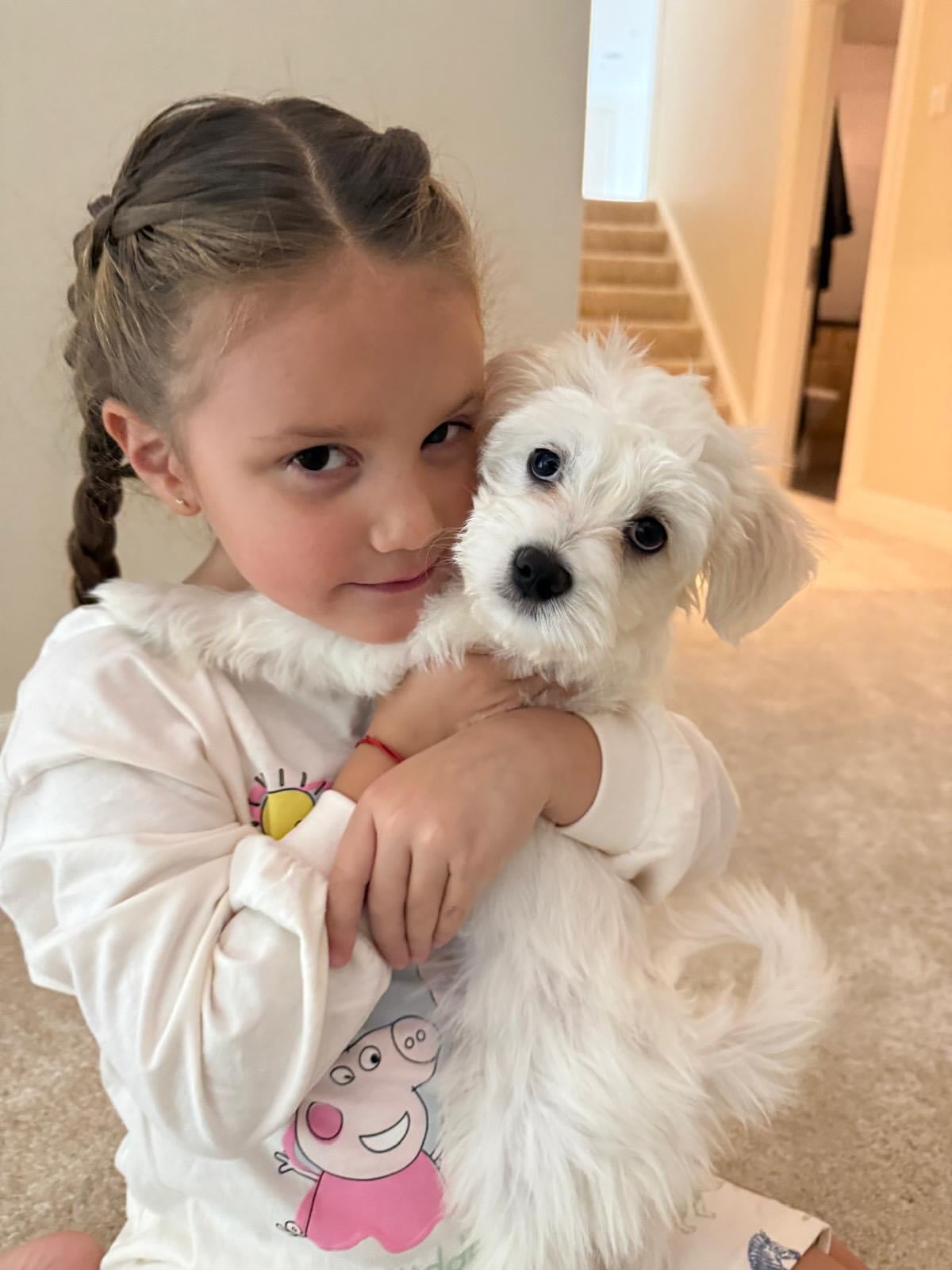 Ava, la hija del "Dibu" Martínez con su mascota | Fuente: Instagram/emi_martinez26