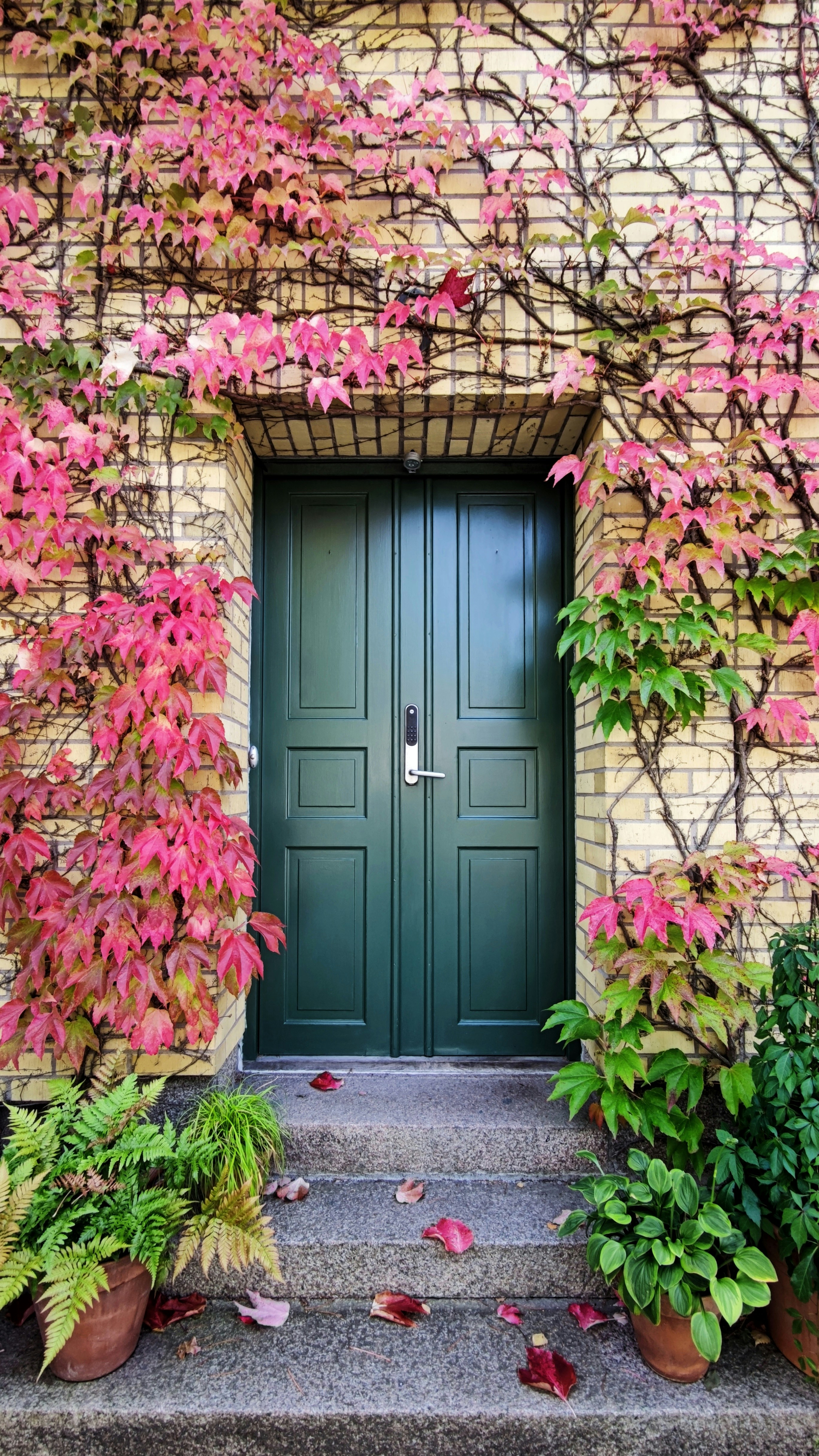 Puerta principal de una casa | Fuente: Pexels