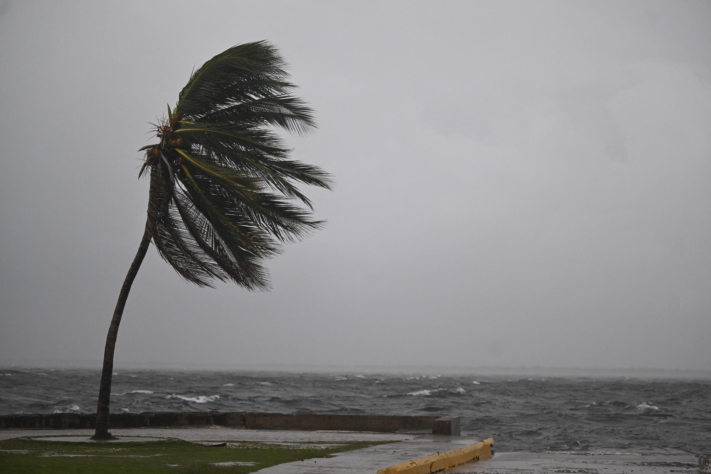 A modo de ejemplo: unos intensos vientos con fuerza de huracán azotan con violencia los árboles de la costa y agitan el océano a medida que las bandas exteriores de una gran tormenta empiezan a hacer mella. | Fuente: Getty Images