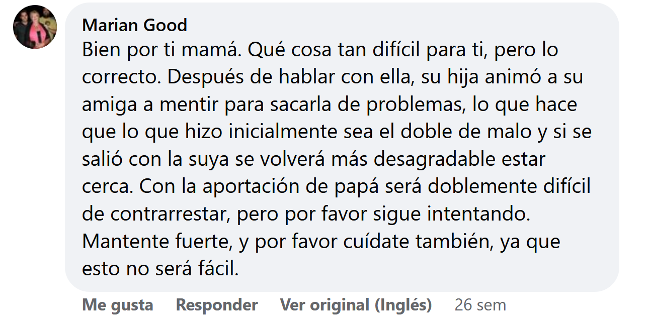 Comentario sobre los métodos disciplinarios de la Redditora | Foto: facebook.com/boredpanda