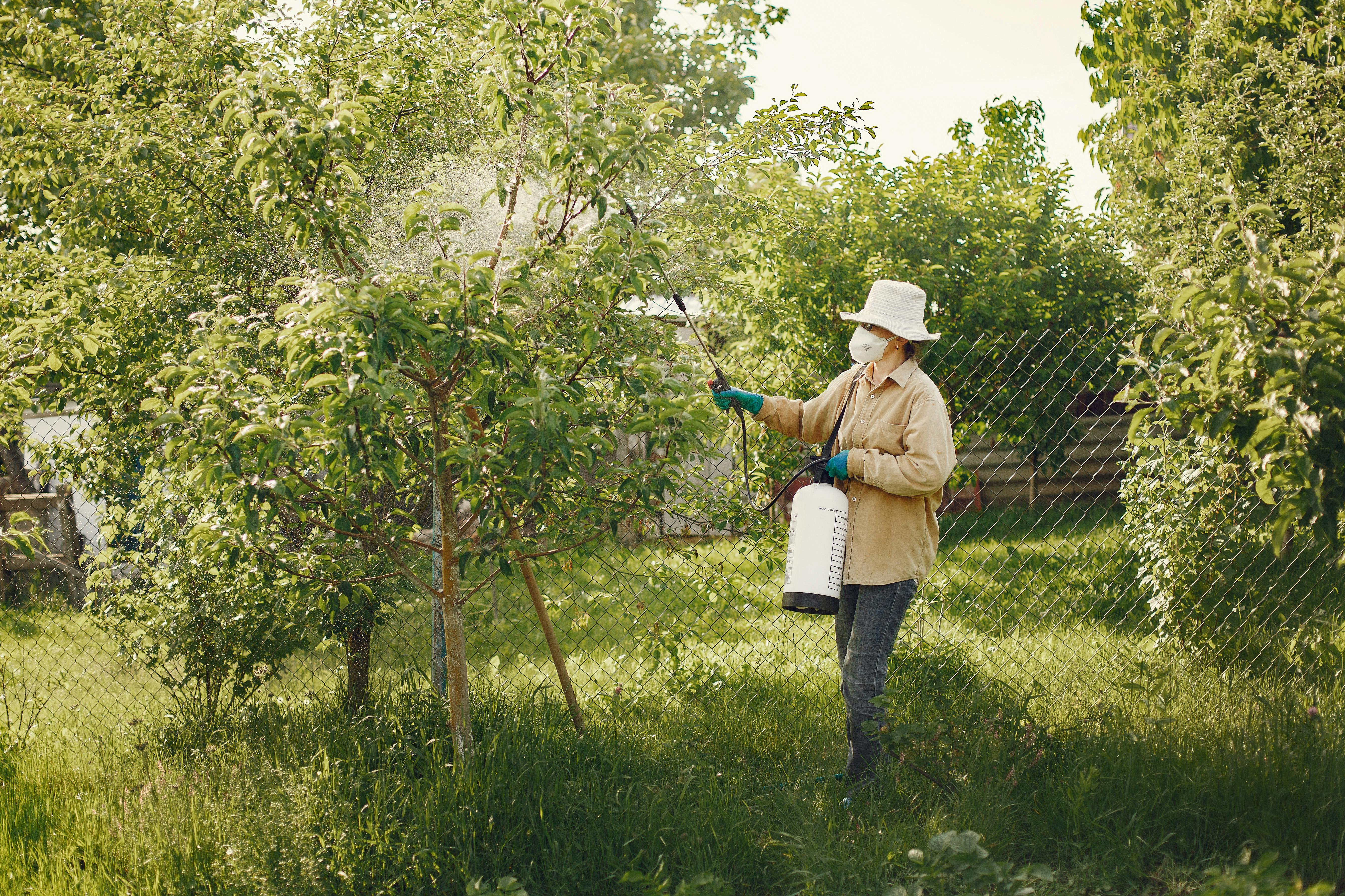 Una mujer fumigando con pesticidas un árbol de un jardín | Fuente: Pexels