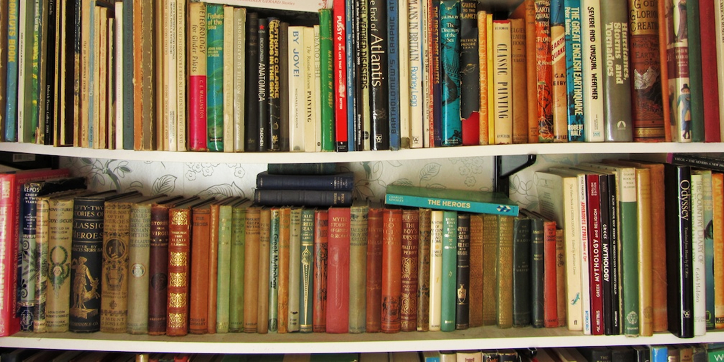 Libros en una estantería | Fuente: Flickr