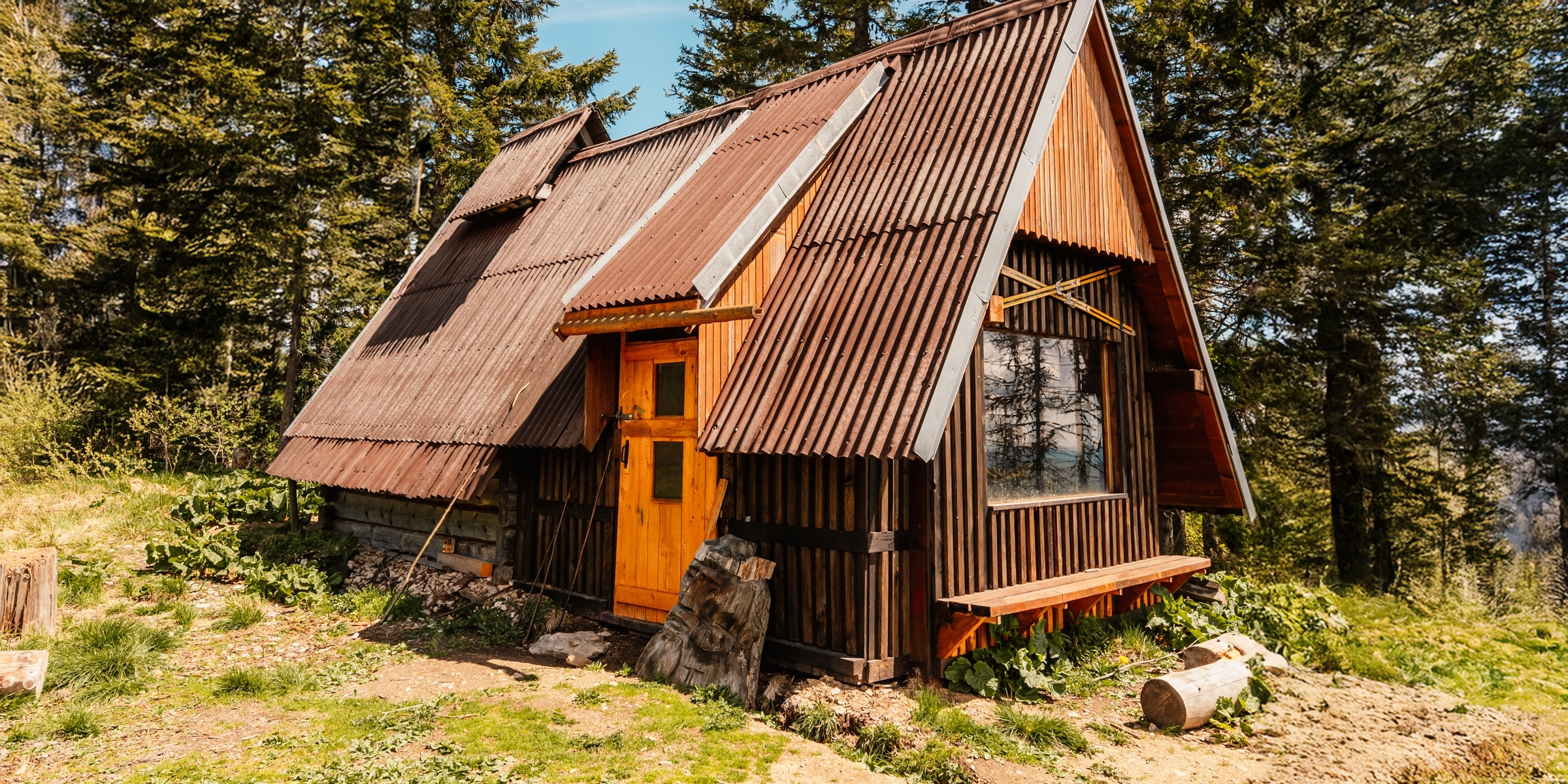 Una cabaña rústica escondida en un claro del bosque, rodeada de altos pinos y la suave luz de la tarde | Fuente: Shutterstock