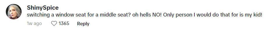 "¿Cambiar un asiento en ventanilla por uno del medio? ¡DE NINGUNA MANERA! La única persona por la que lo haría es por mi hijo" | Comentario de un usuario de TikTok en el vídeo de Tammy Nelson | Foto: tiktok.com/myconquering