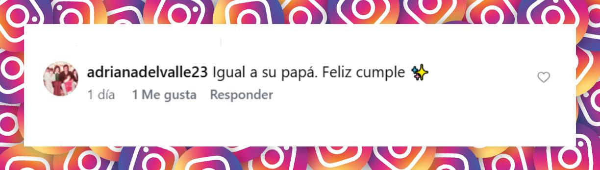 Comentario de una usuaria | Fuente: Instagram/sabrinagarciarena