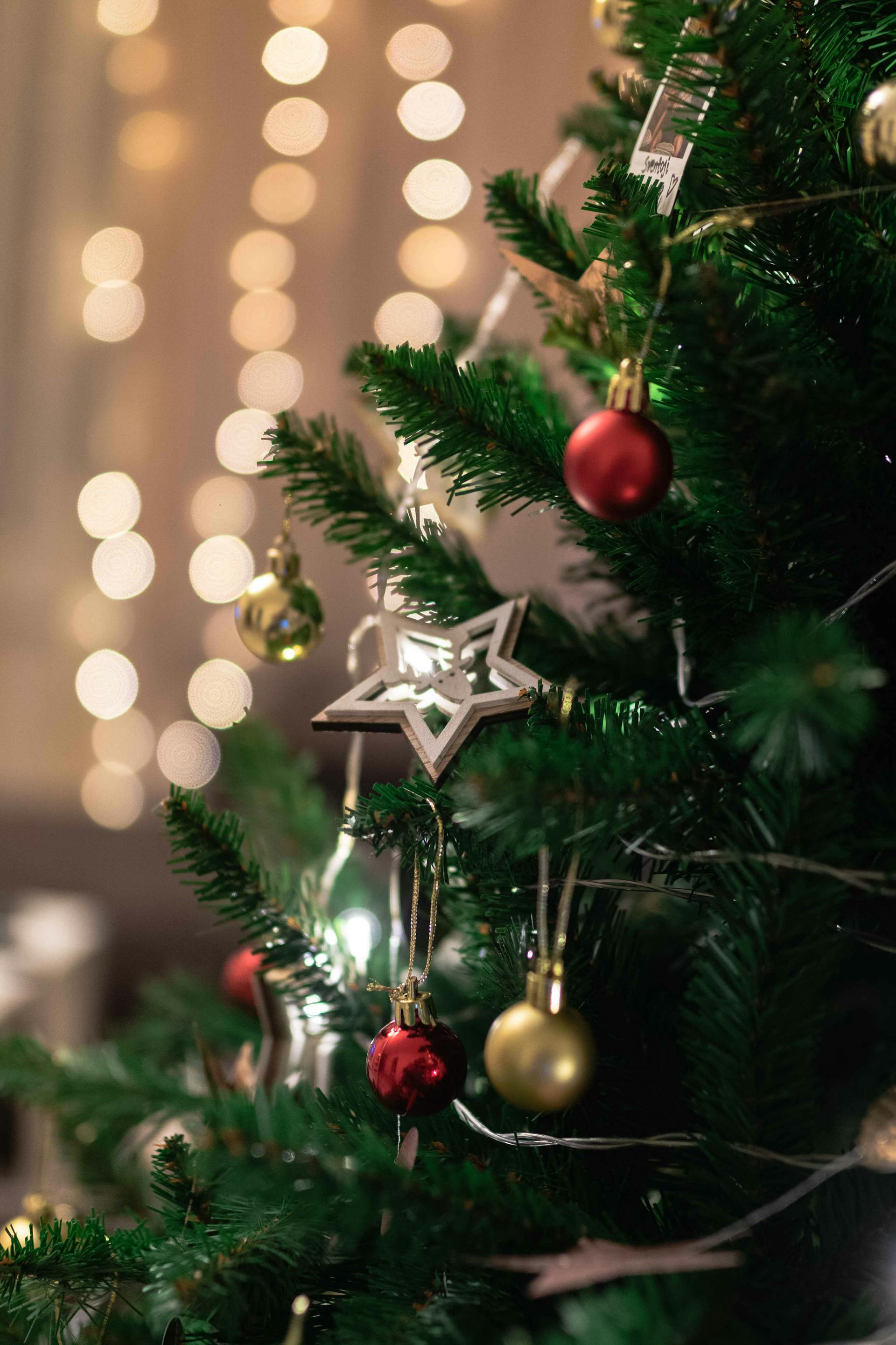 Un árbol de Navidad | Fuente: Pexels