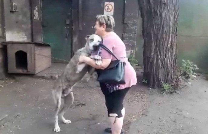 Mujer y su perro perdido se abrazan. | Foto: Facebook/schastlivie.zhivotnie