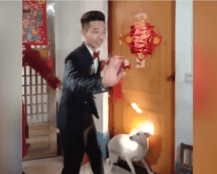 El perro no quería que el novio pasara-Imagen tomada de Miaopai