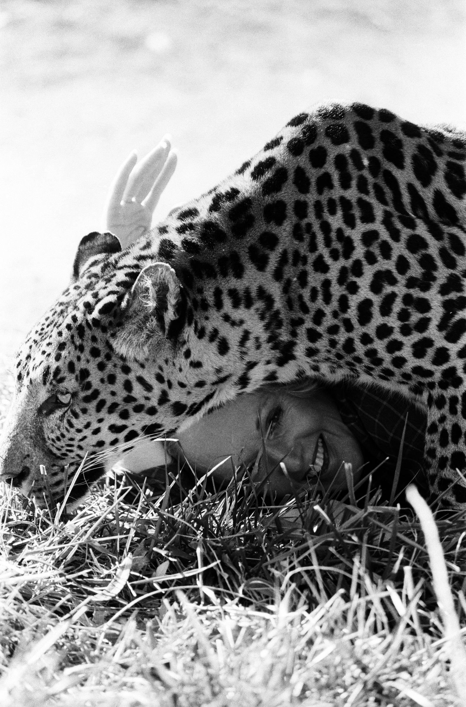 Tippi Hedren con sus animales en su complejo de San Fernando Valley el 25 de enero de 1982. | Fuente: Getty Images