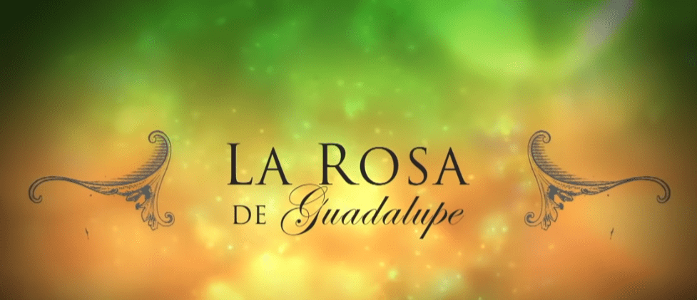 Logo del programa 'La rosa de Guadalupe'. | Foto: Captura de Youtube/La Rosa de Guadalupe