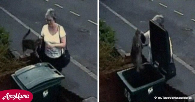 Mujer finge acariciar gatito con crueles intenciones, pero la atrapó la cámara