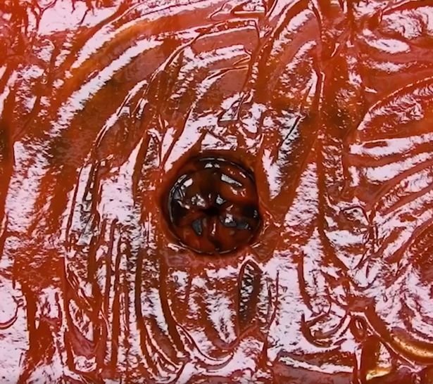 Fregadero untado con salsa de tomate | Foto: Instagram/Blossom