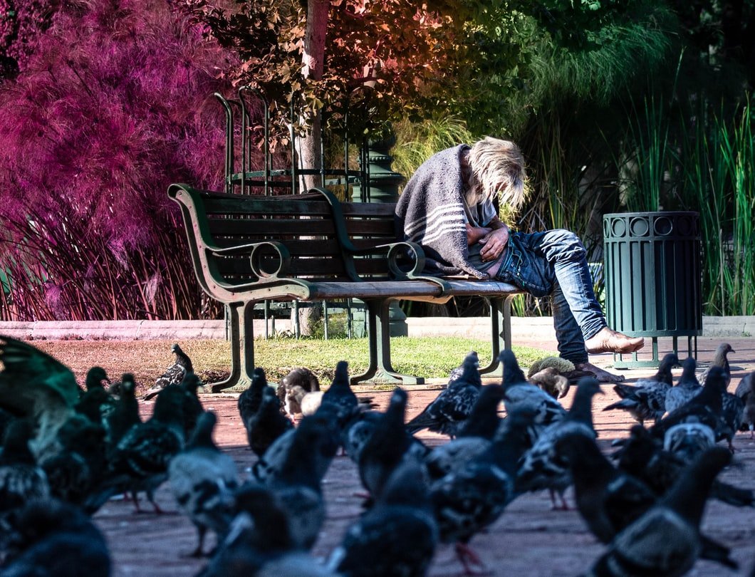Mujer sentada en un banco en un parque con muchas palomas alrededor. | Foto: Unsplash