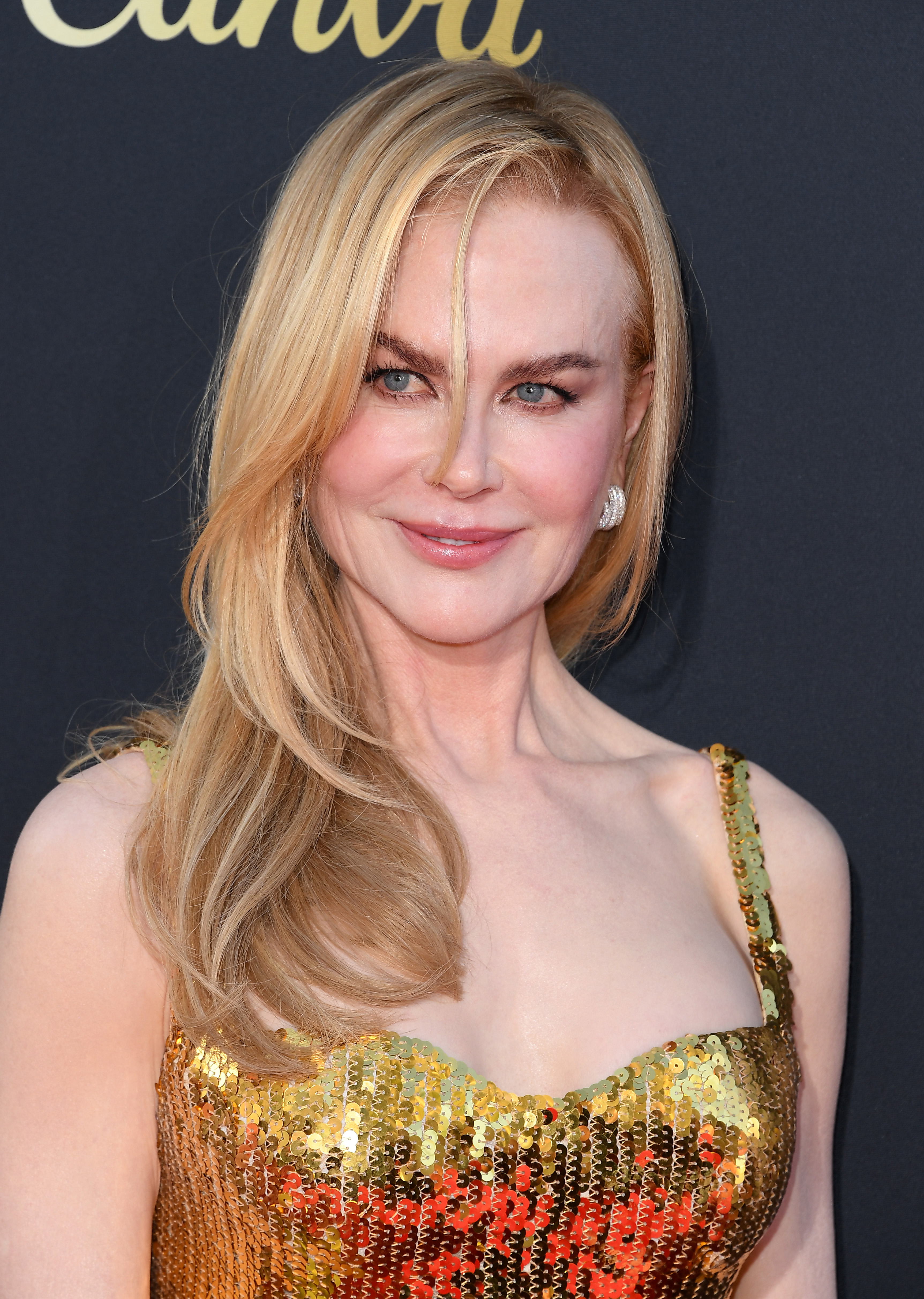 Nicole Kidman en la 49ª Gala de los Premios AFI a la Trayectoria en Hollywood, California, el 27 de abril de 2024 | Fuente: Getty Images