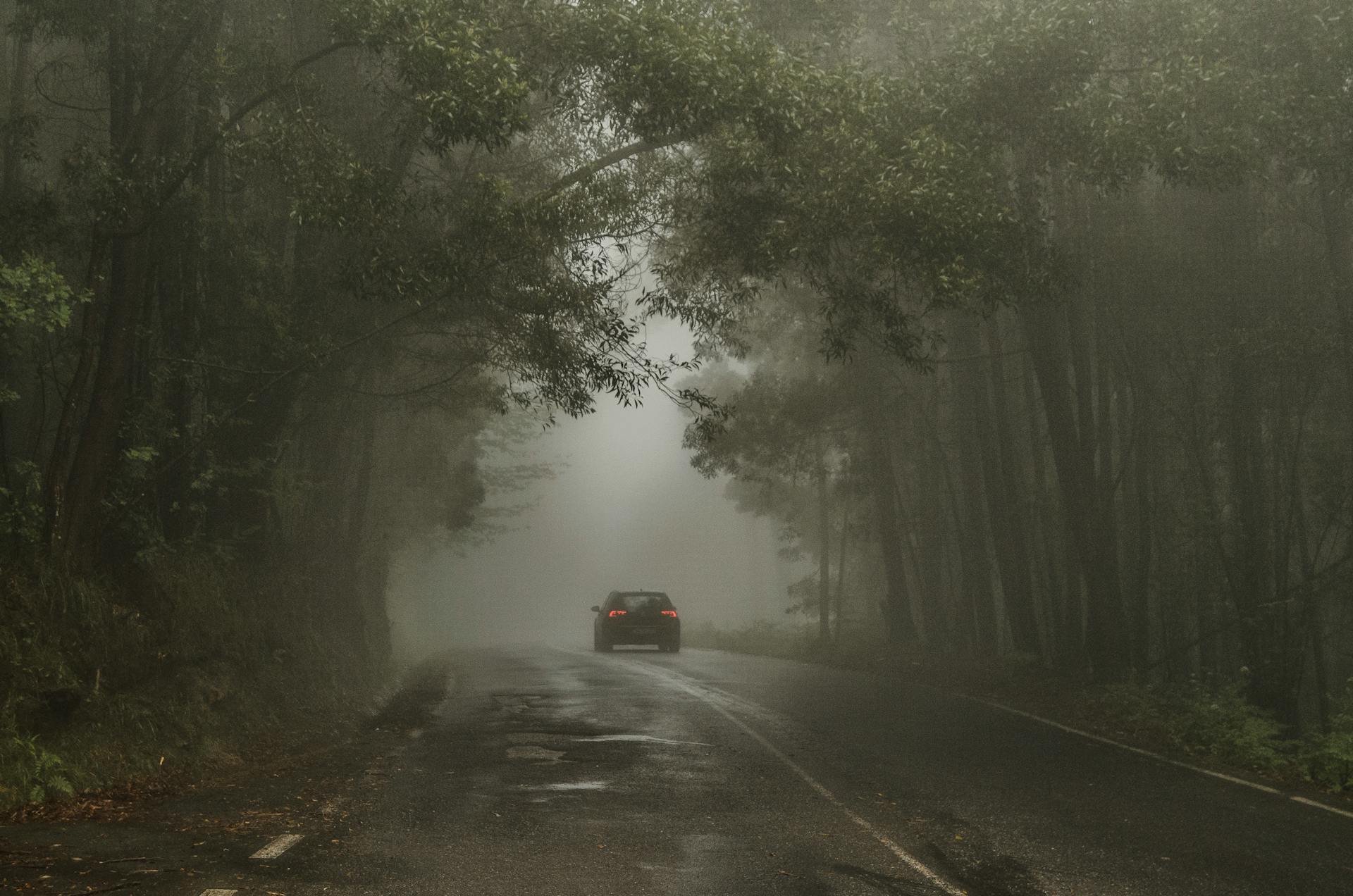 Un Automóvil circulando por una carretera | Fuente: Pexels