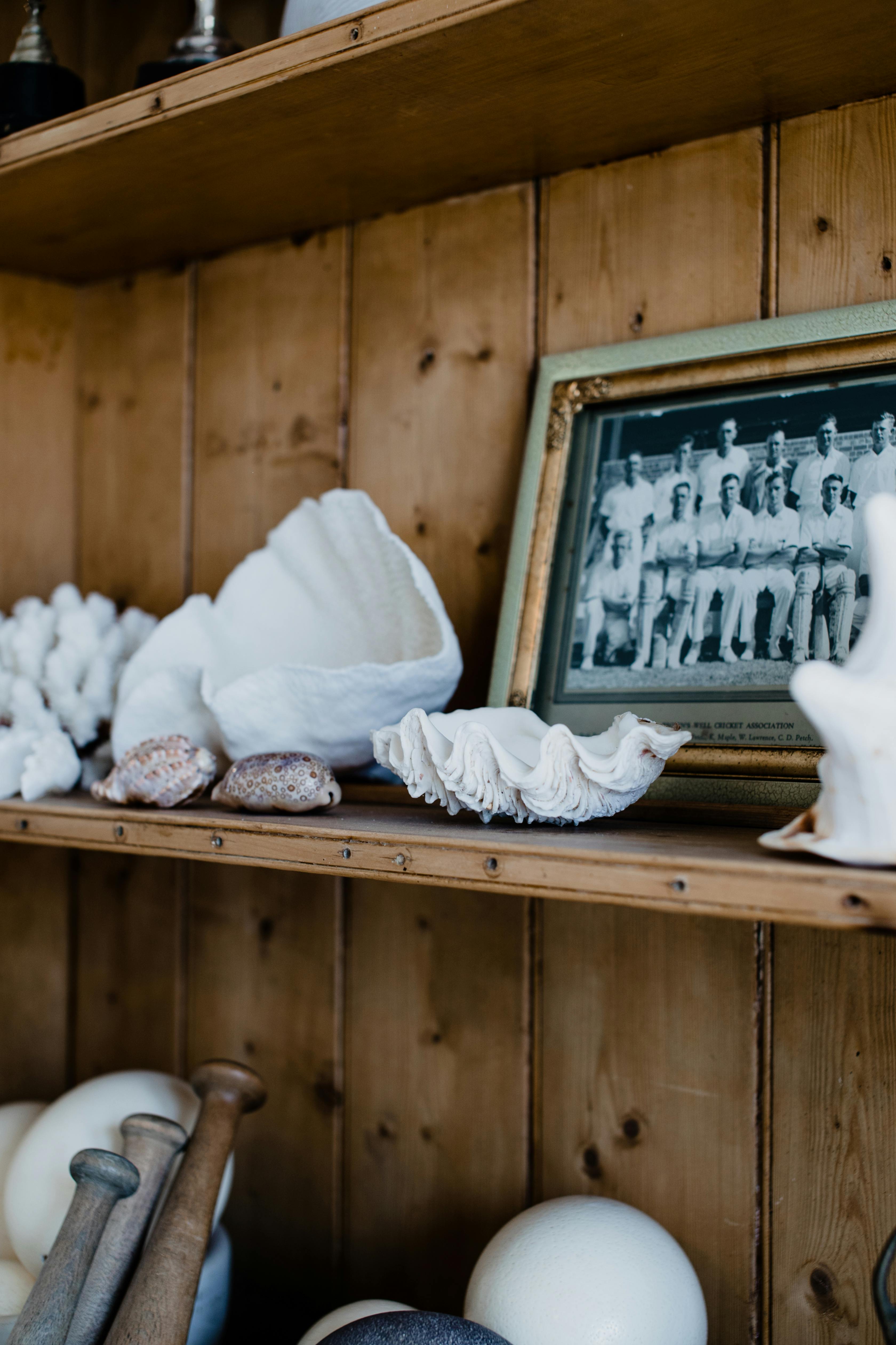 Una estantería con conchas marinas y un marco de fotos | Fuente: Pexels