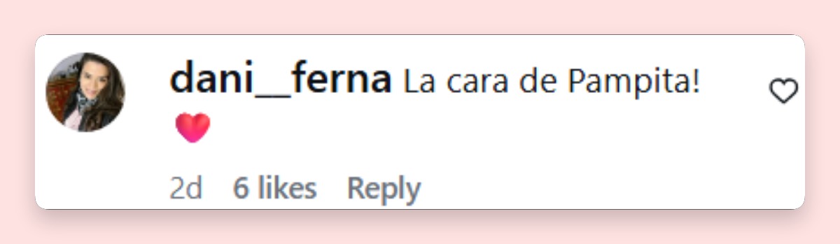 Comentario de una usuaria | Fuente: Instagram/bauti.vicuna