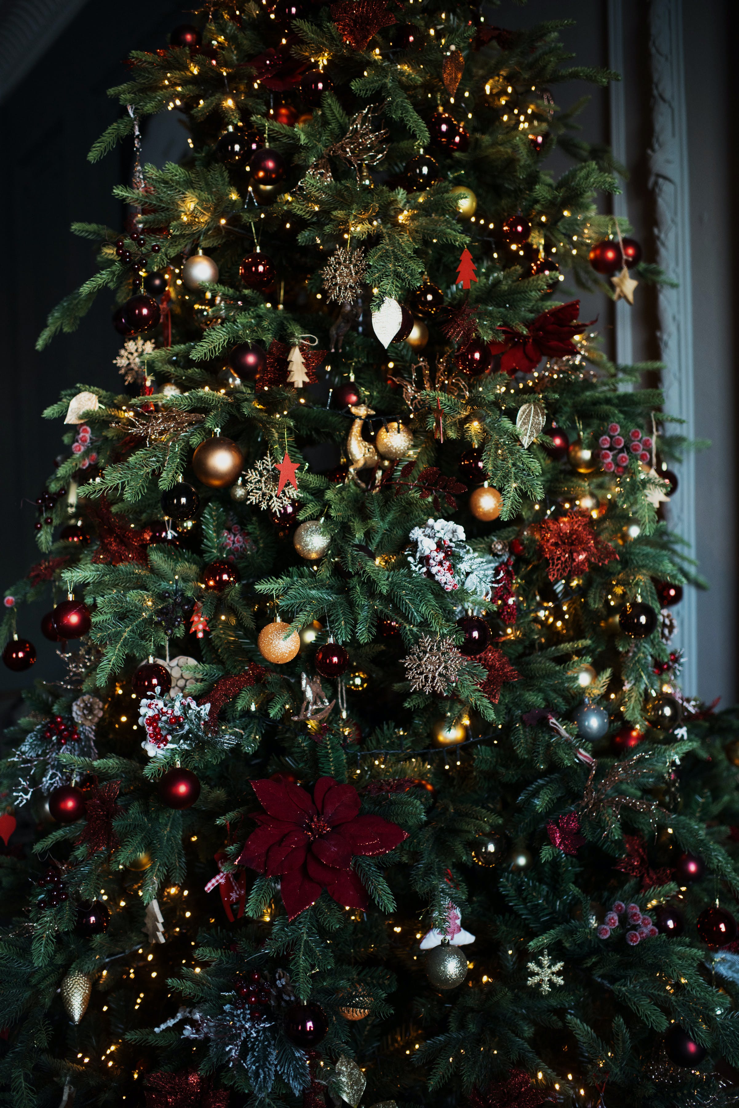 Árbol de Navidad | Fuente: Pexels