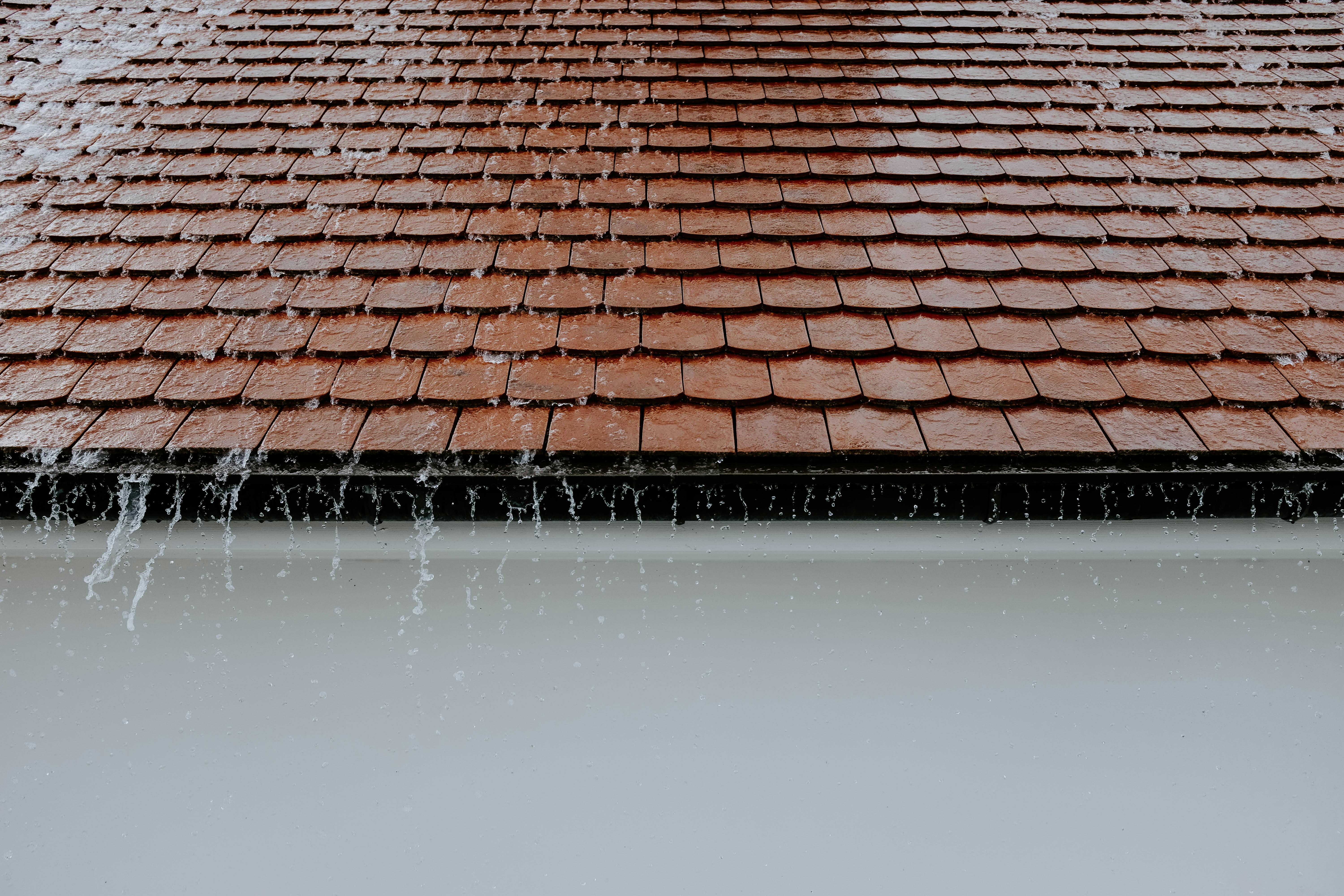 El tejado de una casa, resbaladizo por la lluvia | Fuente: Pexels