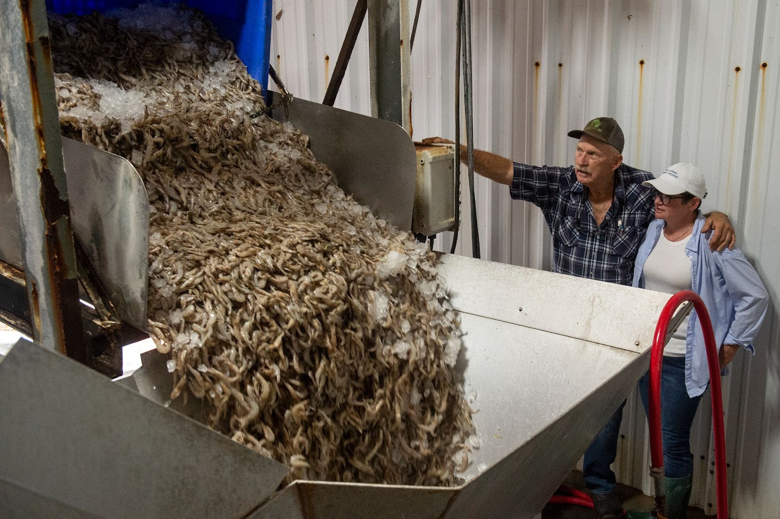 Encargados de fábrica descargando una caja de gambas para procesar. | Fuente: Getty Images