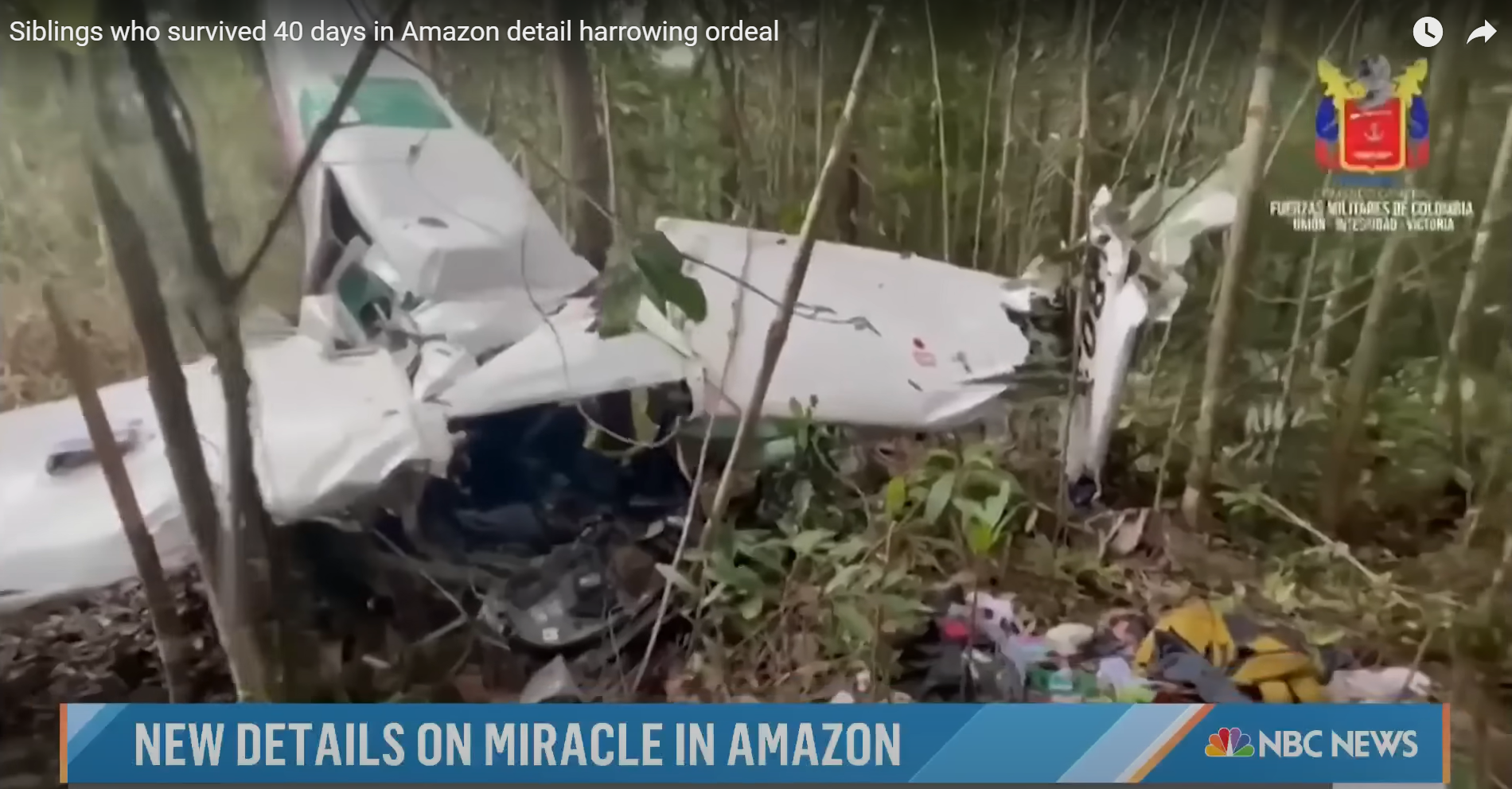 Los restos de la aeronave Cessna 206 que fueron encontrados en Araracuara, Amazonas, en mayo de 2023. | Foto: YouTube/TODAY