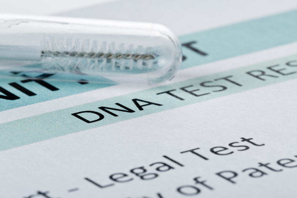 Resultado de prueba de ADN | Fuente: Shutterstock