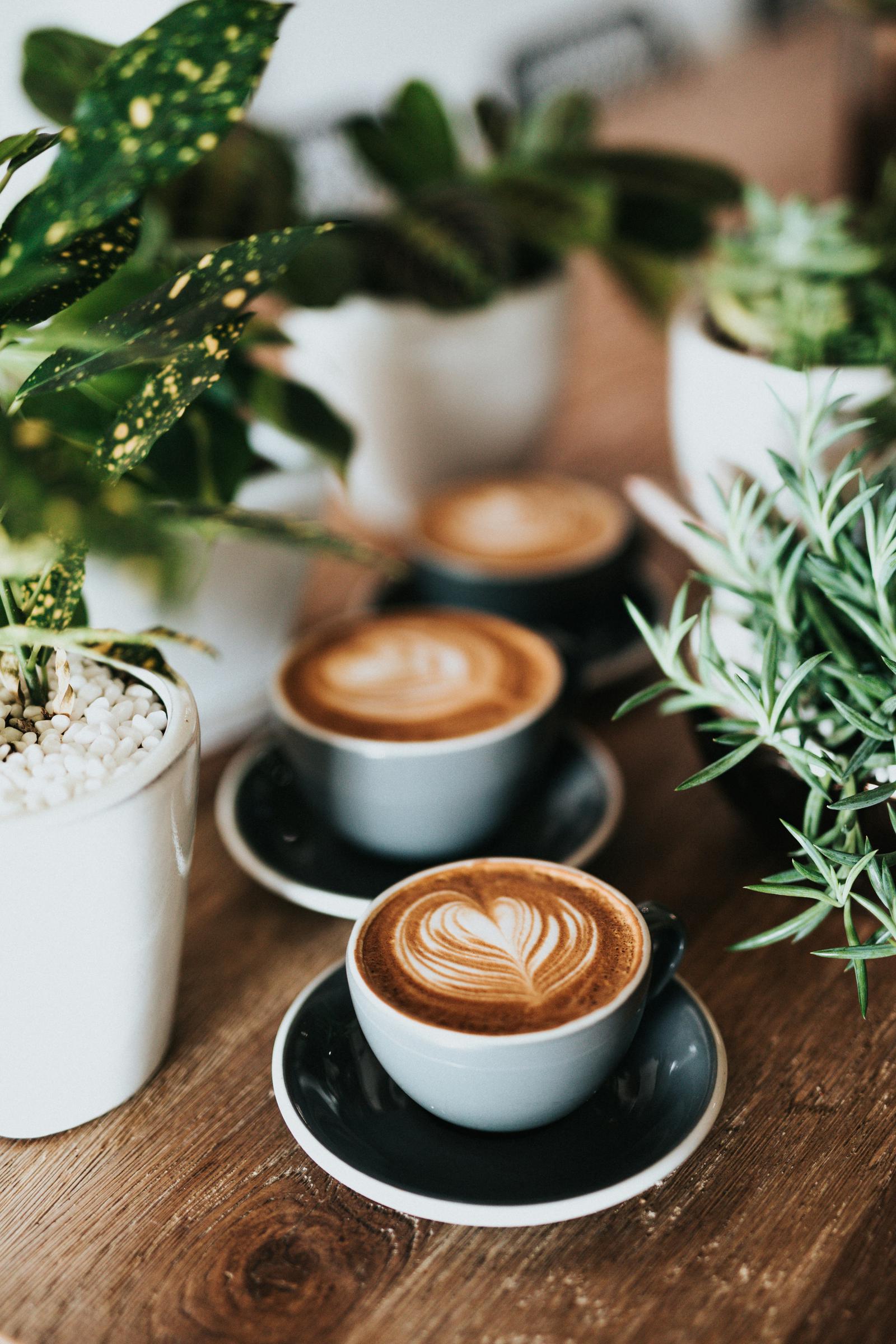 Varias tazas de café sobre una mesa | Fuente: Unsplash